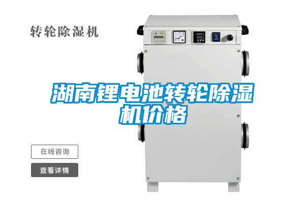 国产精品三级在线观看 湖南锂电池转轮除湿机价格