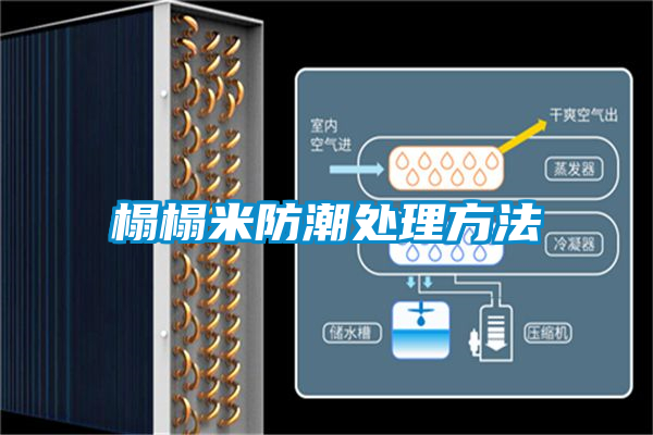 国产精品三级在线观看 榻榻米防潮处理方法