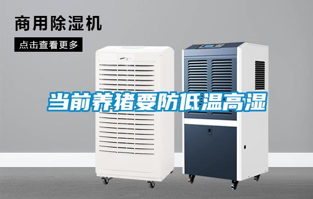 国产精品三级在线观看 当前养猪要防低温高湿