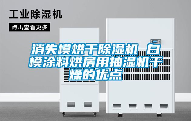 国产精品欧美激情视频 消失模烘干除湿机 白模涂料烘房用抽湿机干燥的优点