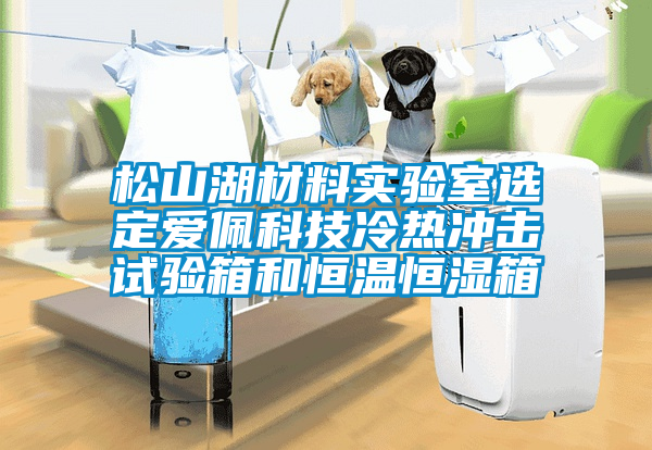 国产精品三级在线观看 松山湖材料实验室选定爱佩科技冷热冲击试验箱和恒温恒湿箱