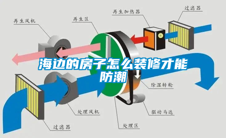 国产精品探花在线观看 海边的房子怎么装修才能防潮