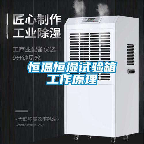 国产精品欧美激情视频 恒温恒湿试验箱工作原理