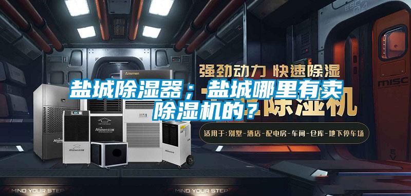 国产精品三级在线观看 盐城除湿器；盐城哪里有卖除湿机的？