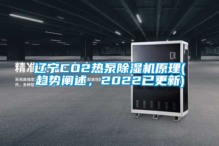 国产精品三级在线观看 辽宁CO2热泵除湿机原理(趋势阐述，2022已更新)