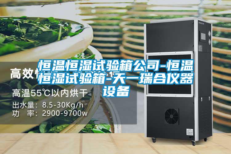 国产精品欧美激情视频 恒温恒湿试验箱公司-恒温恒湿试验箱-天一瑞合仪器设备