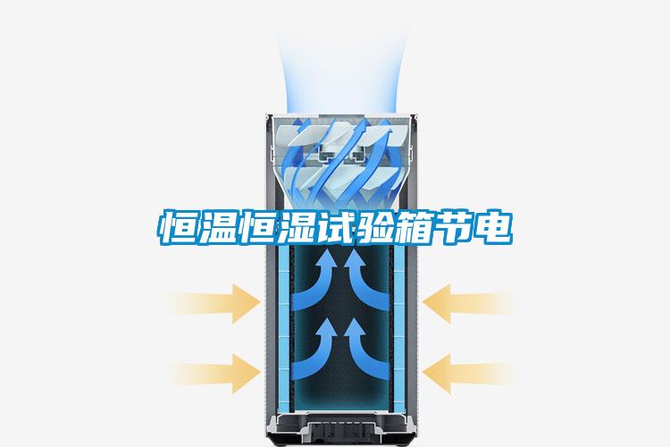 国产精品三级在线观看 恒温恒湿试验箱节电