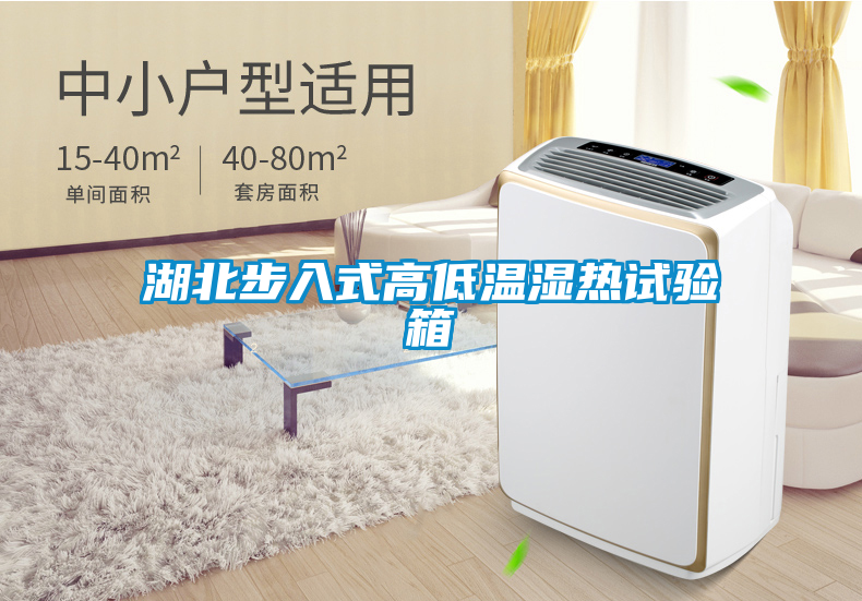 国产精品三级在线观看 湖北步入式高低温湿热试验箱