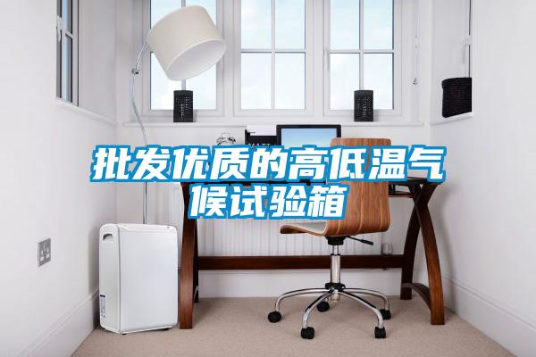 国产精品三级在线观看 批发优质的高低温气候试验箱