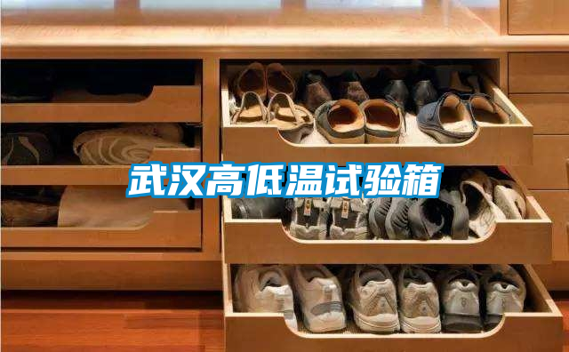 国产精品探花在线观看 武汉高低温试验箱
