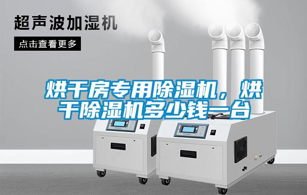 国产精品欧美激情视频 烘干房专用除湿机，烘干除湿机多少钱一台