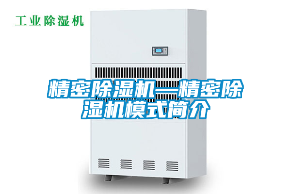 国产精品三级在线观看 精密除湿机—精密除湿机模式简介
