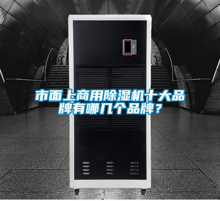 国产精品欧美激情视频 市面上商用除湿机十大品牌有哪几个品牌？