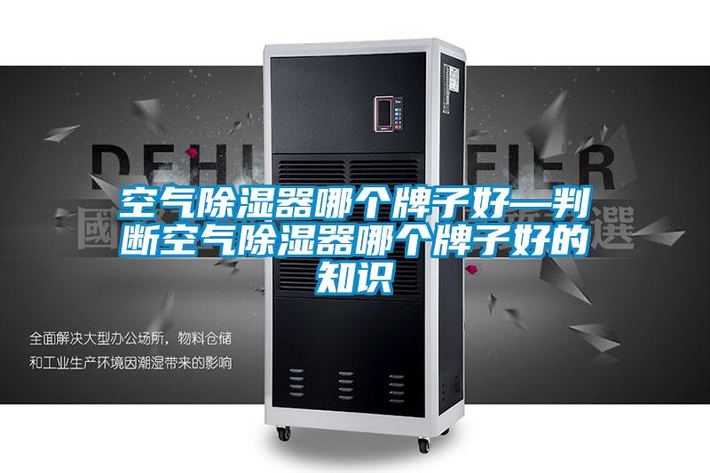国产精品探花在线观看 空气除湿器哪个牌子好—判断空气除湿器哪个牌子好的知识