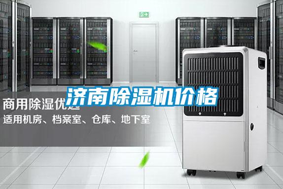 国产精品三级在线观看 济南除湿机价格