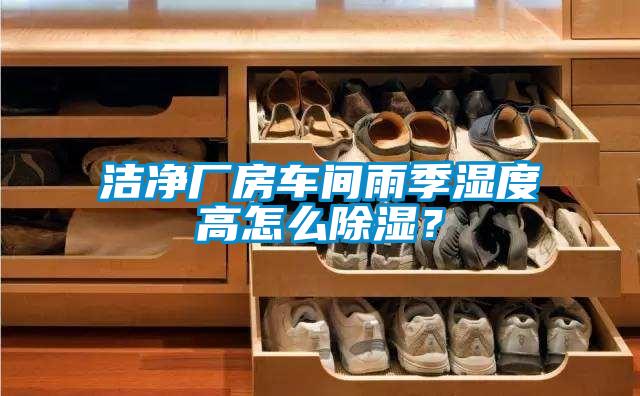国产精品三级在线观看 洁净厂房车间雨季湿度高怎么除湿？