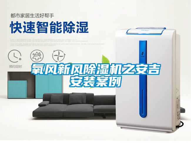 国产精品三级在线观看 氧风新风除湿机之安吉安装案例