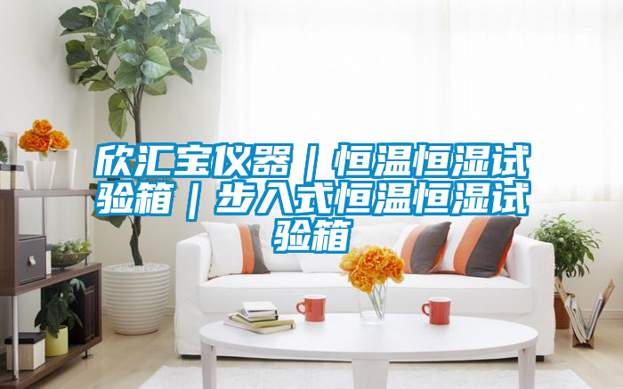 国产精品三级在线观看 欣汇宝仪器｜恒温恒湿试验箱｜步入式恒温恒湿试验箱