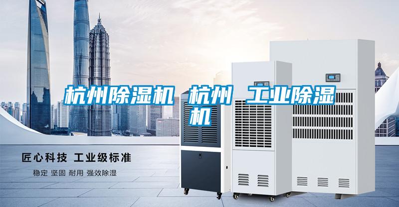 国产精品三级在线观看 杭州除湿机 杭州 工业除湿机