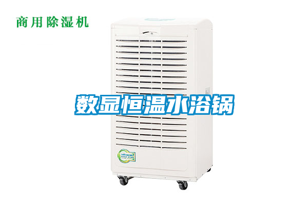 国产精品探花在线观看 数显恒温水浴锅
