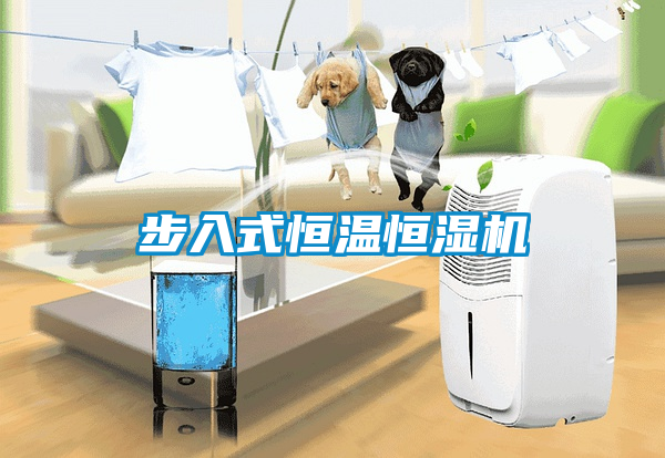 国产精品欧美激情视频 步入式恒温恒湿机