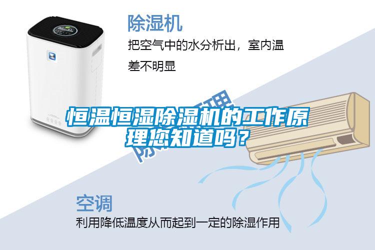 国产精品三级在线观看 恒温恒湿除湿机的工作原理您知道吗？