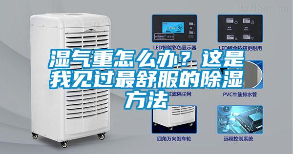 国产精品欧美激情视频 湿气重怎么办？这是我见过最舒服的除湿方法