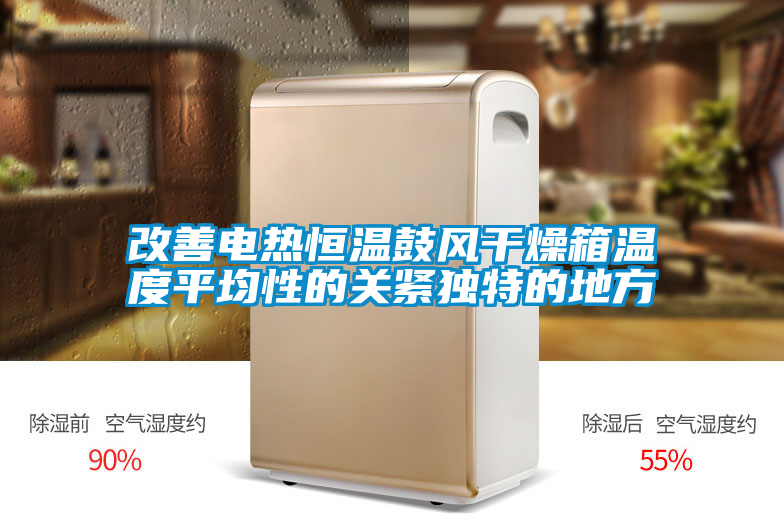国产精品欧美激情视频 改善电热恒温鼓风干燥箱温度平均性的关紧独特的地方