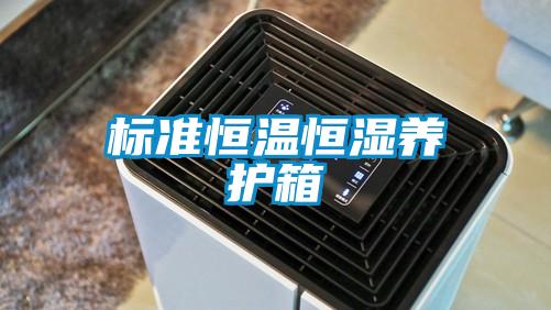 国产精品探花在线观看 标准恒温恒湿养护箱