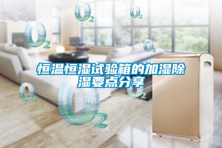 国产精品三级在线观看 恒温恒湿试验箱的加湿除湿要点分享
