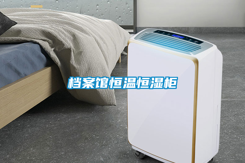 国产精品探花在线观看 档案馆恒温恒湿柜