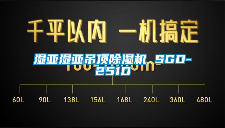 国产精品三级在线观看 湿亚湿亚吊顶除湿机 SGD-251D