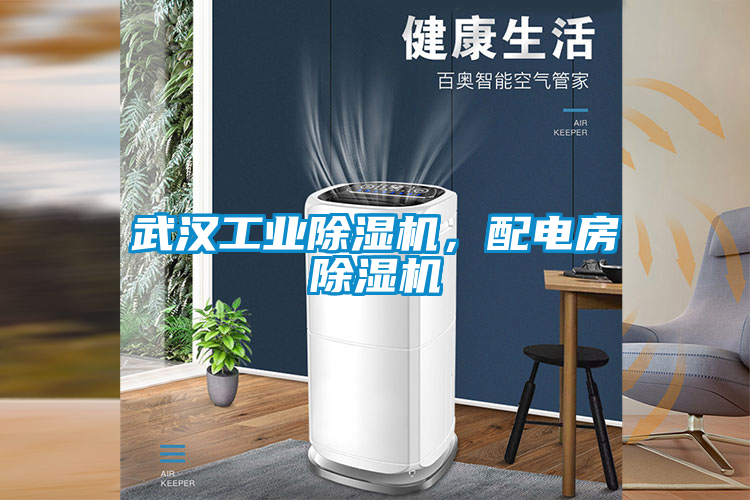 国产精品三级在线观看 武汉工业除湿机，配电房除湿机