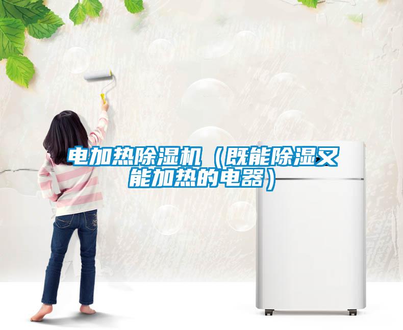 国产精品探花在线观看 电加热除湿机（既能除湿又能加热的电器）