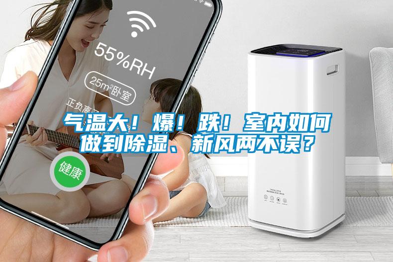 国产精品欧美激情视频 气温大！爆！跌！室内如何做到除湿、新风两不误？