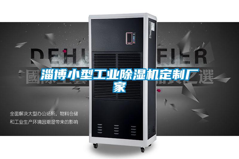 国产精品三级在线观看 淄博小型工业除湿机定制厂家