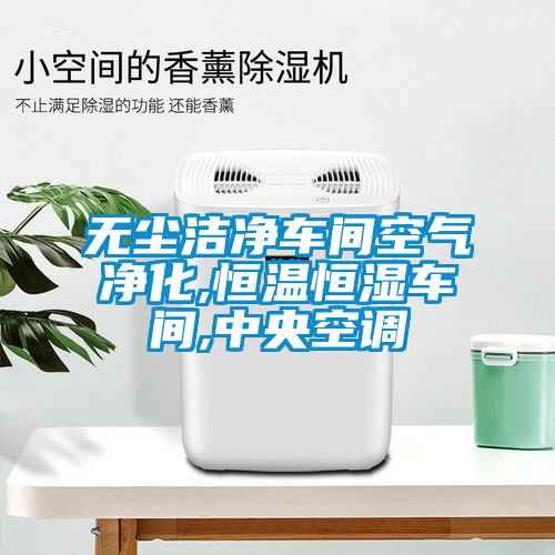 国产精品探花在线观看 无尘洁净车间空气净化,恒温恒湿车间,中央空调