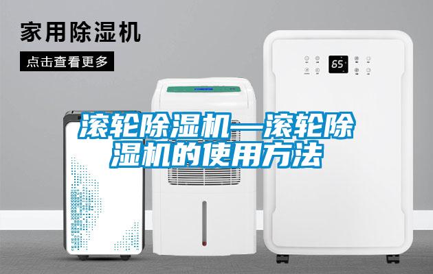 国产精品探花在线观看 滚轮除湿机—滚轮除湿机的使用方法