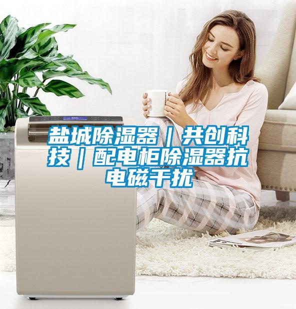 国产精品探花在线观看 盐城除湿器｜共创科技｜配电柜除湿器抗电磁干扰