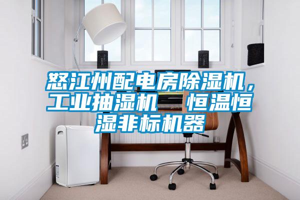 国产精品探花在线观看 怒江州配电房除湿机，工业抽湿机  恒温恒湿非标机器