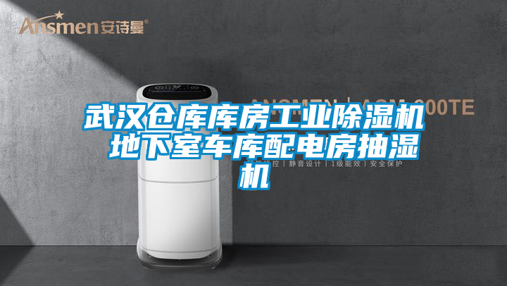 国产精品欧美激情视频 武汉仓库库房工业除湿机 地下室车库配电房抽湿机