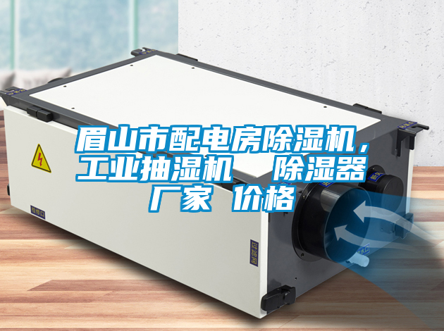 国产精品欧美激情视频 眉山市配电房除湿机，工业抽湿机  除湿器厂家 价格