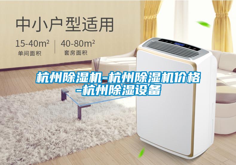 国产精品欧美激情视频 杭州除湿机-杭州除湿机价格-杭州除湿设备