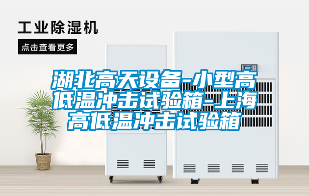 国产精品欧美激情视频 湖北高天设备-小型高低温冲击试验箱-上海高低温冲击试验箱