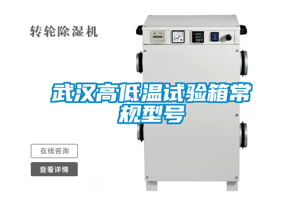 国产精品三级在线观看 武汉高低温试验箱常规型号