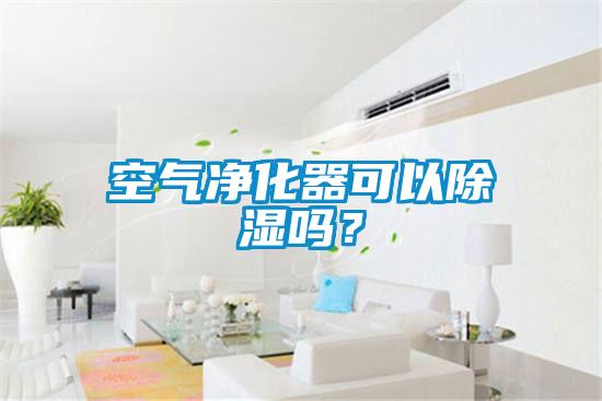 国产精品欧美激情视频 空气净化器可以除湿吗？