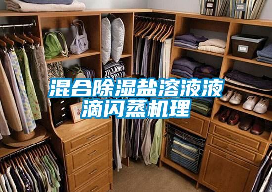 国产精品三级在线观看 混合除湿盐溶液液滴闪蒸机理
