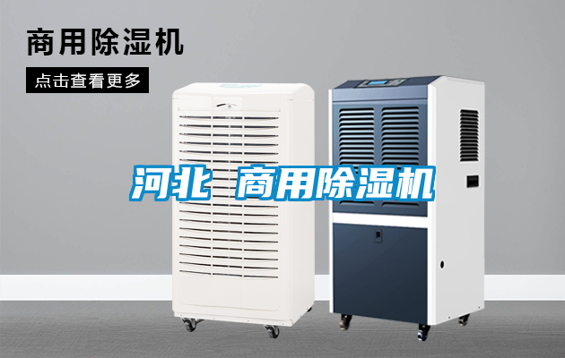 国产精品三级在线观看 河北 商用除湿机