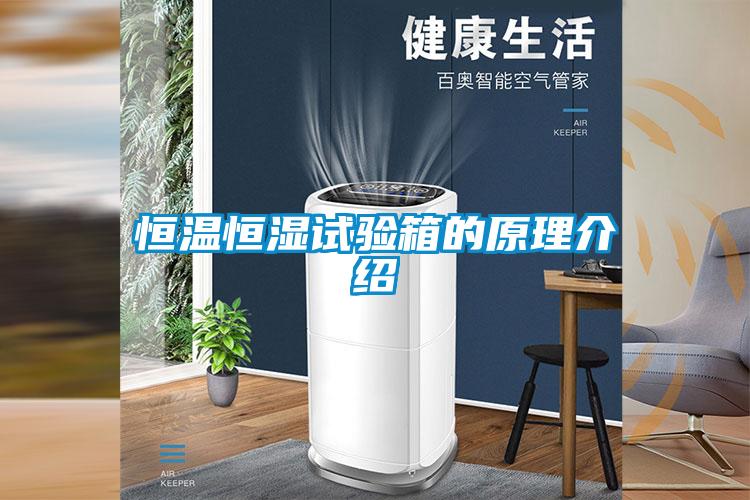 国产精品三级在线观看 恒温恒湿试验箱的原理介绍