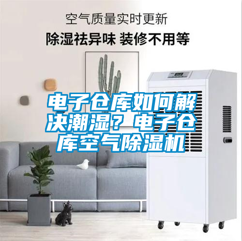 国产精品欧美激情视频 电子仓库如何解决潮湿？电子仓库空气除湿机